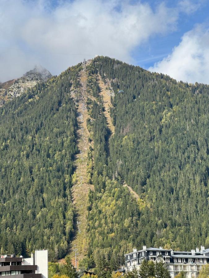 Cocon Au Coeur De Chamonix Avec Parking Gratuit Leilighet Eksteriør bilde