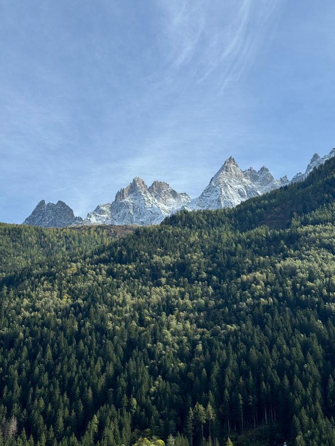 Cocon Au Coeur De Chamonix Avec Parking Gratuit Leilighet Eksteriør bilde